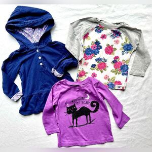 Carter’s & OshKosh B’Gosh Girls Long Sleeve Tops Lot – Size 12M